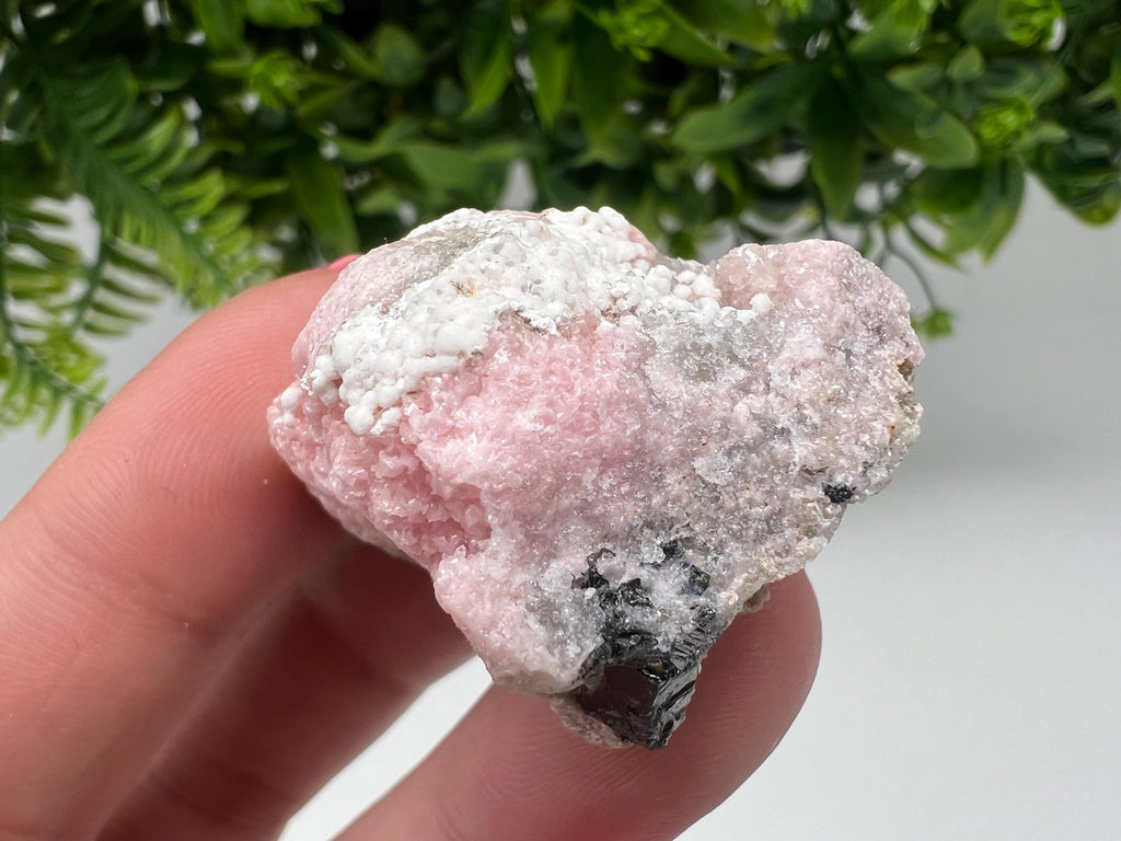 RARE Rhodochrosite with Calcite, Starnica Mine, Bulgaria