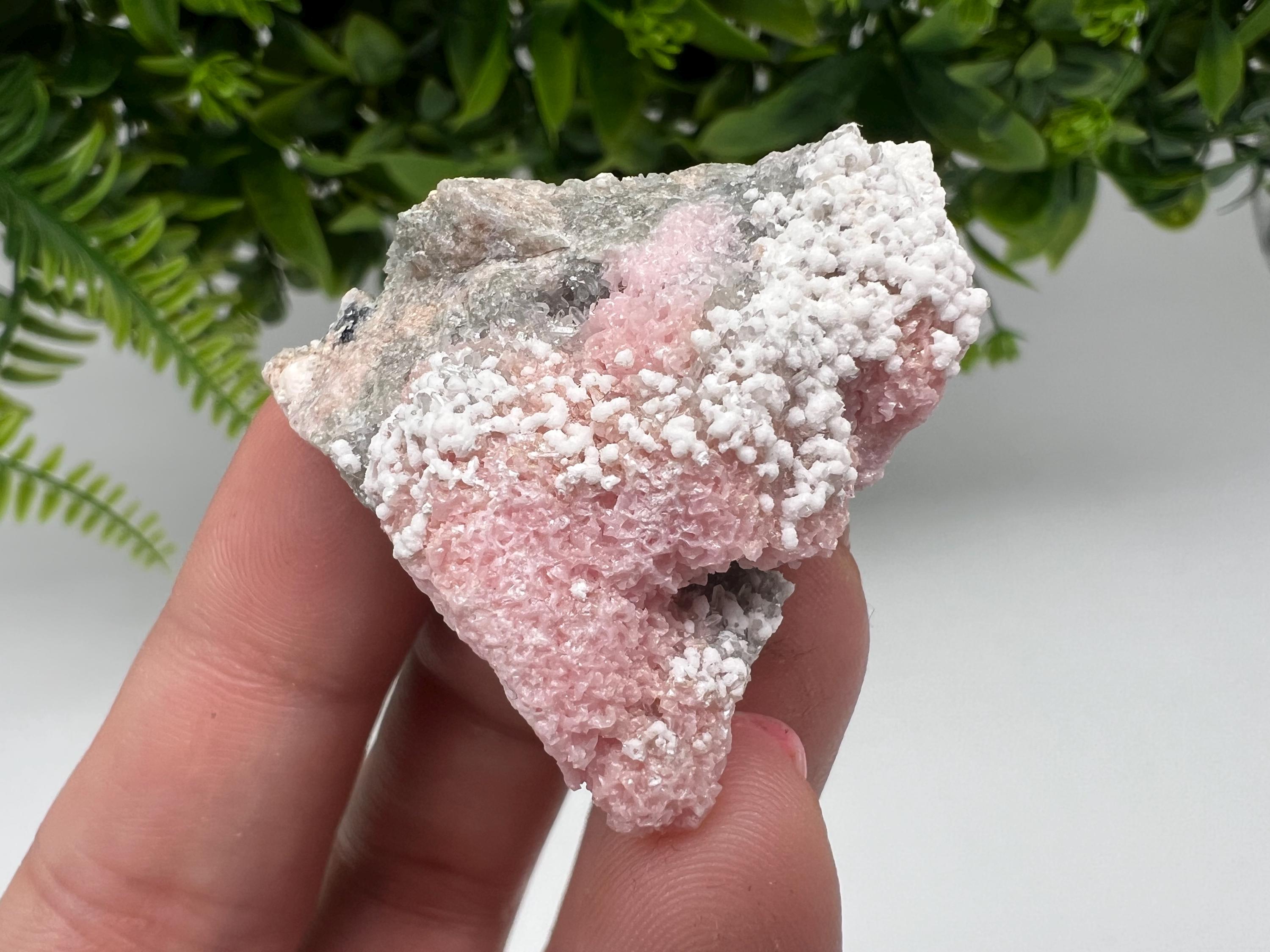 RARE Rhodochrosite with White Calcite, Starnica Mine, Bulgaria