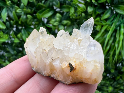 Bulgarian Quartz Mineral Specimen: Iron Oxide Limonite Inclusion