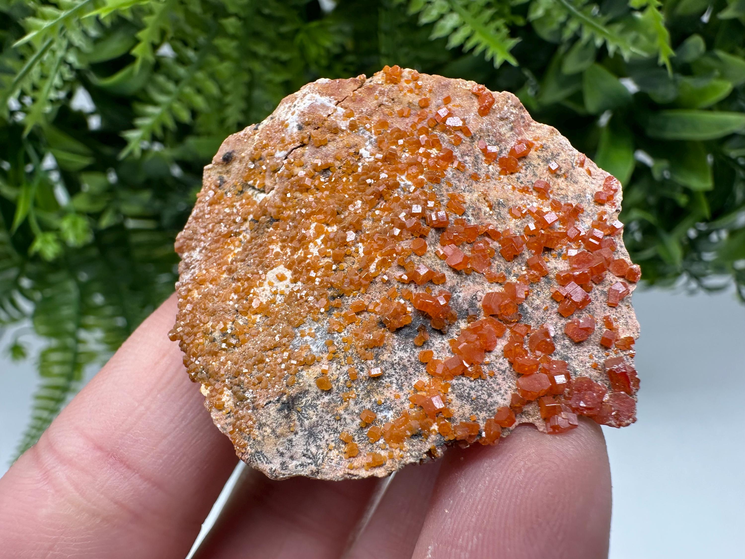 Red Vanadinite on Matrix from Marocco,crystal minerals Speciment cluster Vanadinite crystal Vanadinite Geology Vanadinite cluster minerals