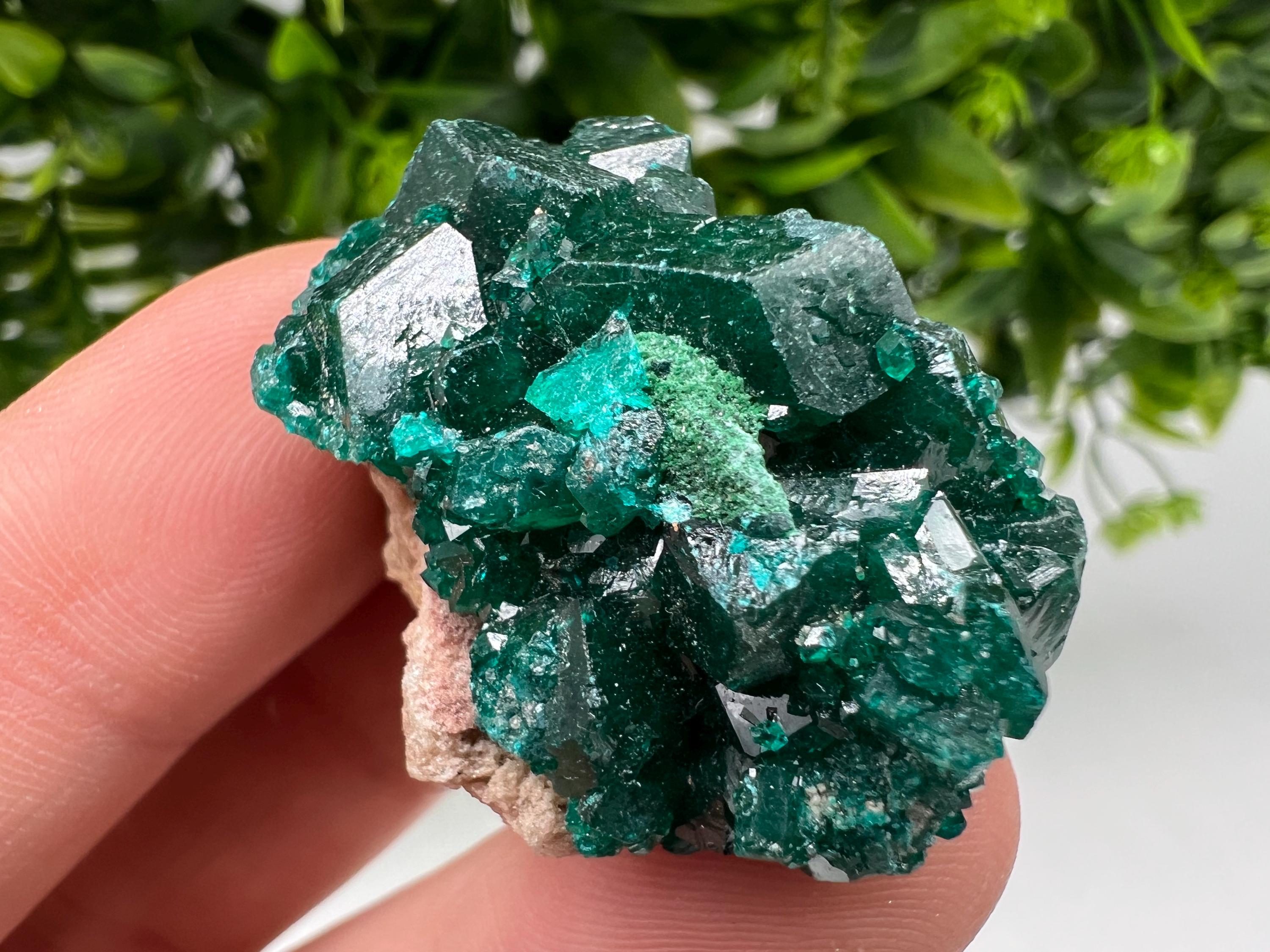 Green Dioptase Crystal Cluster, Sanda Hills Congo