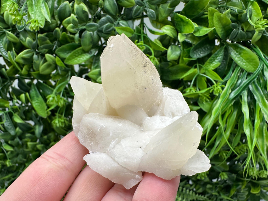 Calcite on Green Quartz: Laki Bulgaria Healing Crystal