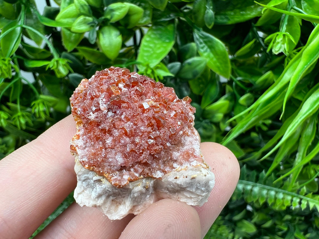 Red Vanadinite on Barite from Marocco,crystal minerals Speciment cluster Vanadinite crystal Vanadinite Geology Vanadinite cluster minerals