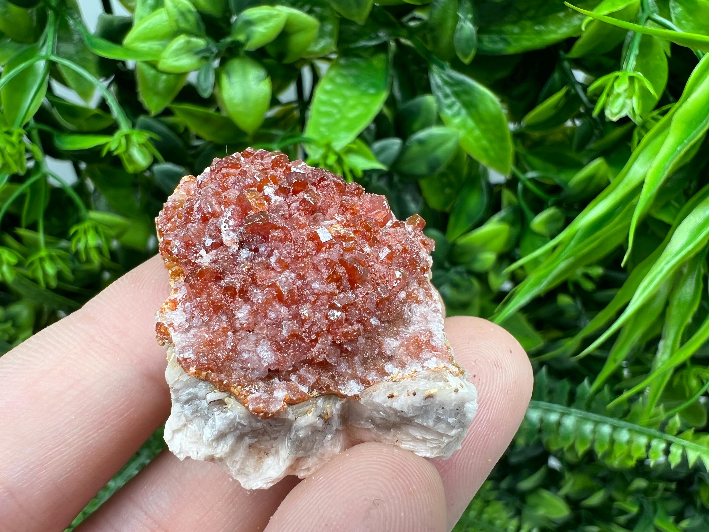 Red Vanadinite on Barite from Marocco,crystal minerals Speciment cluster Vanadinite crystal Vanadinite Geology Vanadinite cluster minerals