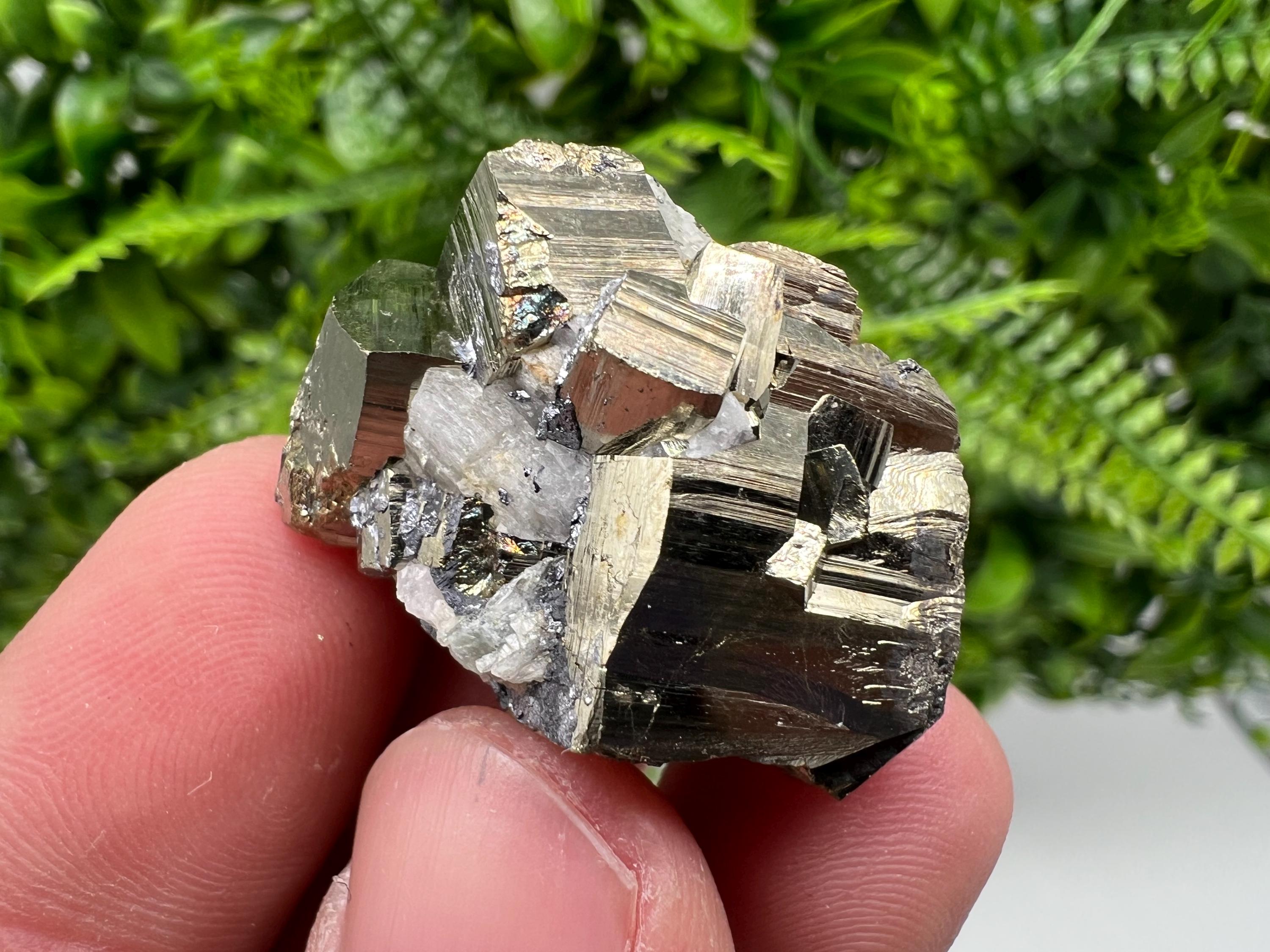 Mini Rainbow Pyrite Cluster: Borieva Mine, Bulgaria