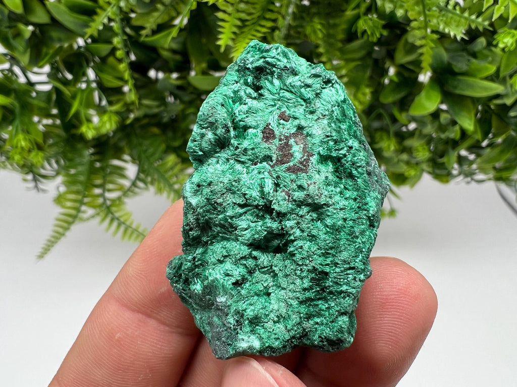 Malachite Crystal from Congo,Minerals,Crystals from Congo,Green Malachite, Malachite,Natural Malachite,Malachite Stone,Chakra, Specimens