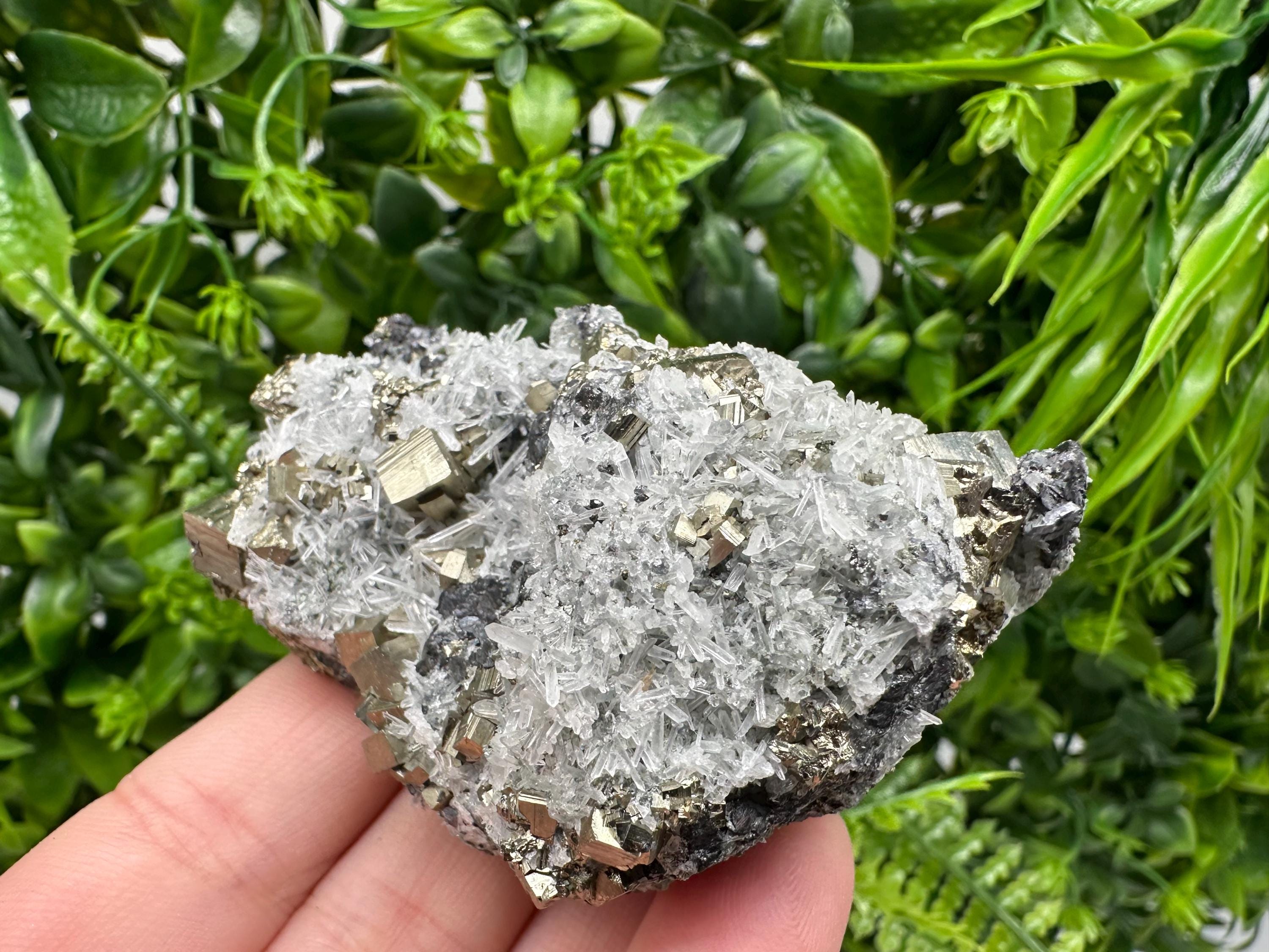 Pyrite on Green Quartz Mineral Specimen, Borieva Bulgaria