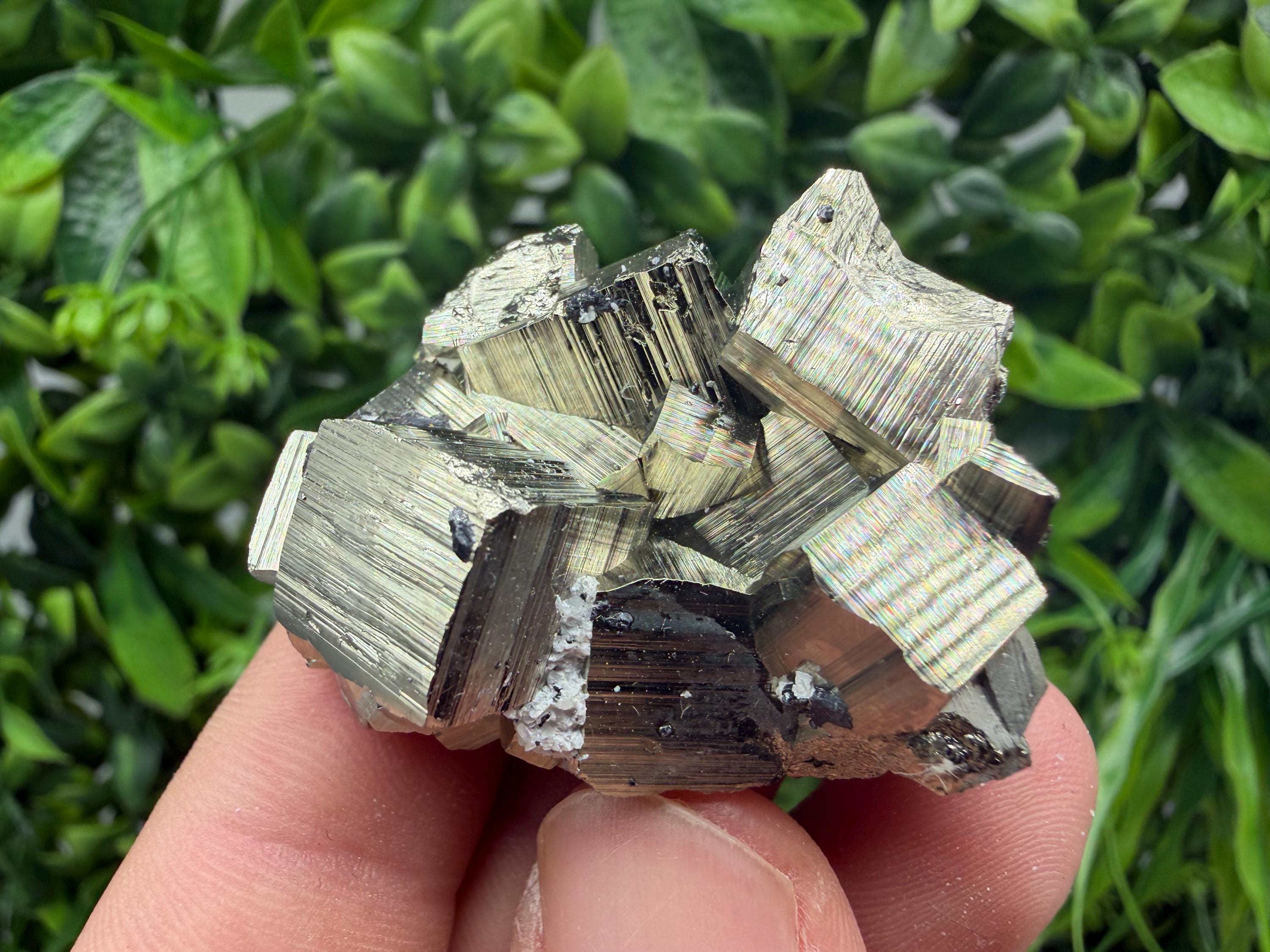 Rare Floating Pyrite Cluster, Fool’s Gold Crystal Decor