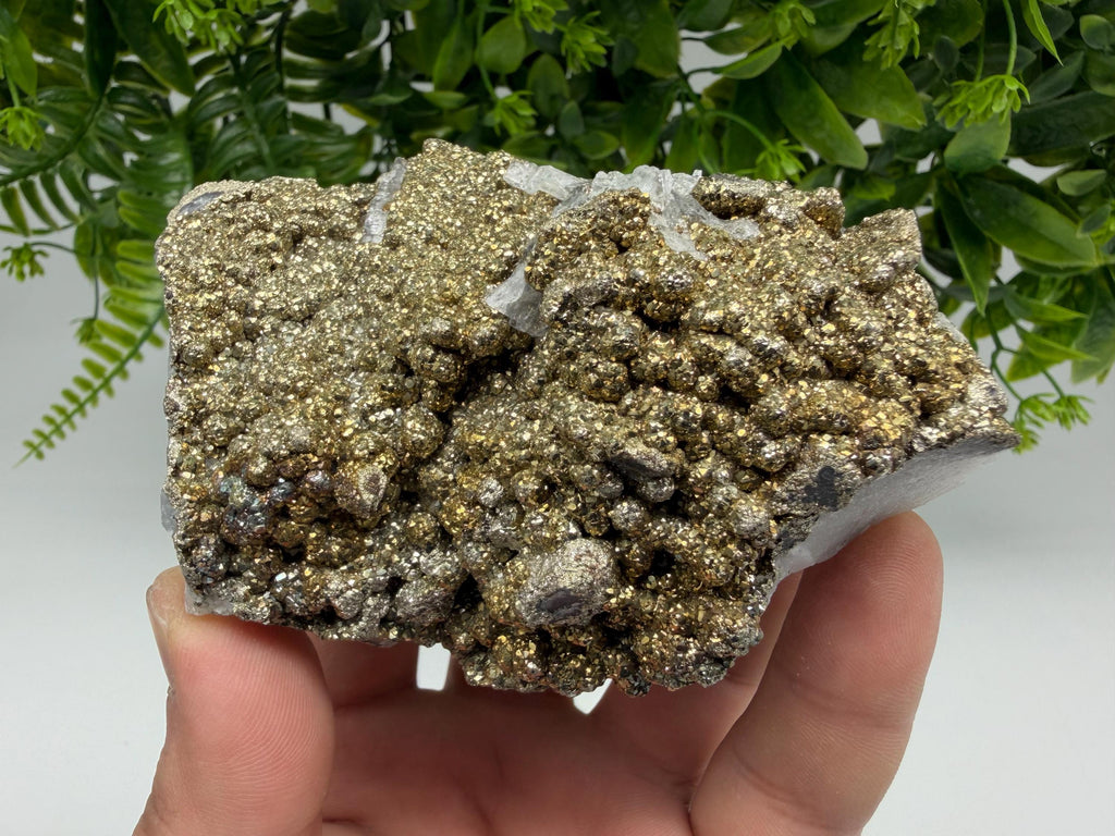 Marcasite Cluster on Chalcedony Mineral Specimen, Androvo Mine Bulgaria