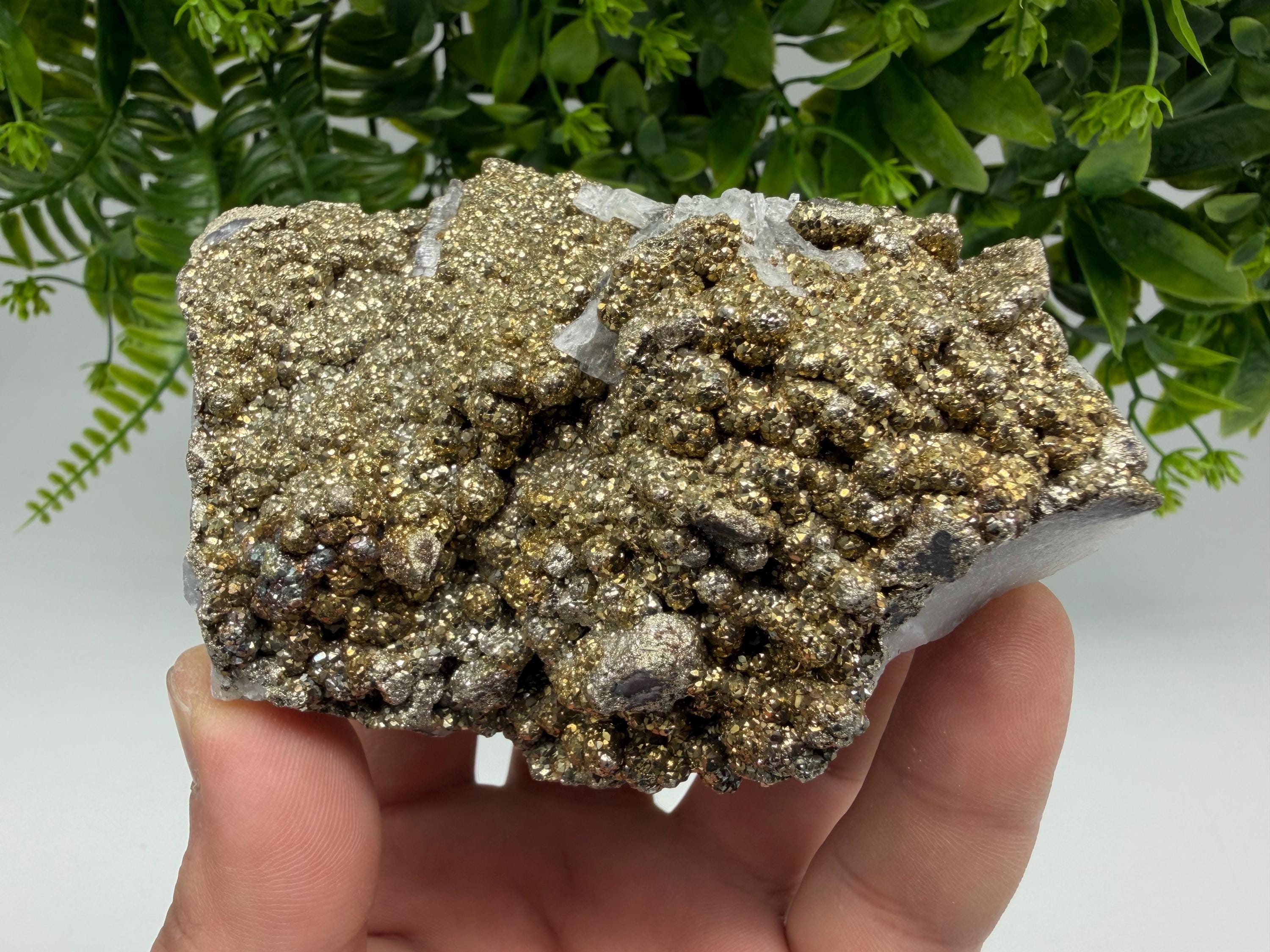 Marcasite Cluster on Chalcedony Mineral Specimen, Androvo Mine Bulgaria