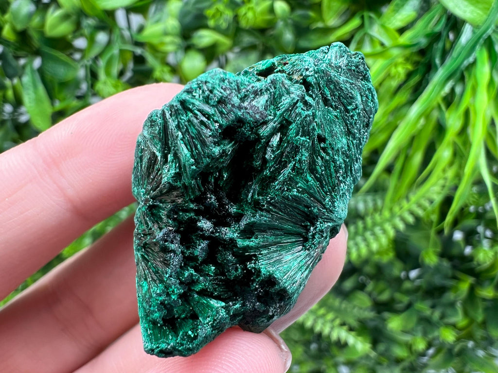 Malachite Crystal from Congo,Minerals,Crystals from Congo,Green Malachite, Malachite,Natural Malachite,Malachite Stone,Chakra, Specimens