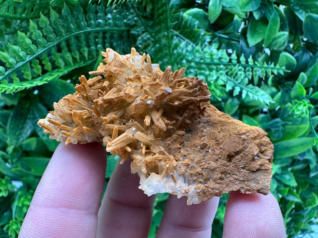 Limonite Coated Quartz Crystal - Iron Oxide Mineral Specimen