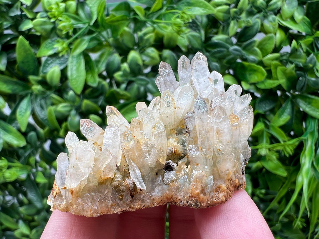 Bulgarian Quartz Mineral Specimen: Iron Oxide Limonite Inclusion