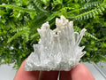 Quartz with Calcite: Madan Bulgaria Natural Crystal Mineral