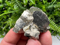Pyrite on Sphalerite, Bulgaria Mineral Specimen