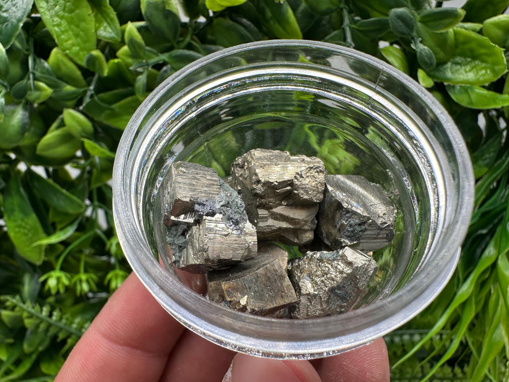 Golden Pyrite Cubes in Box: Collection Stone, Gift, Souvenir