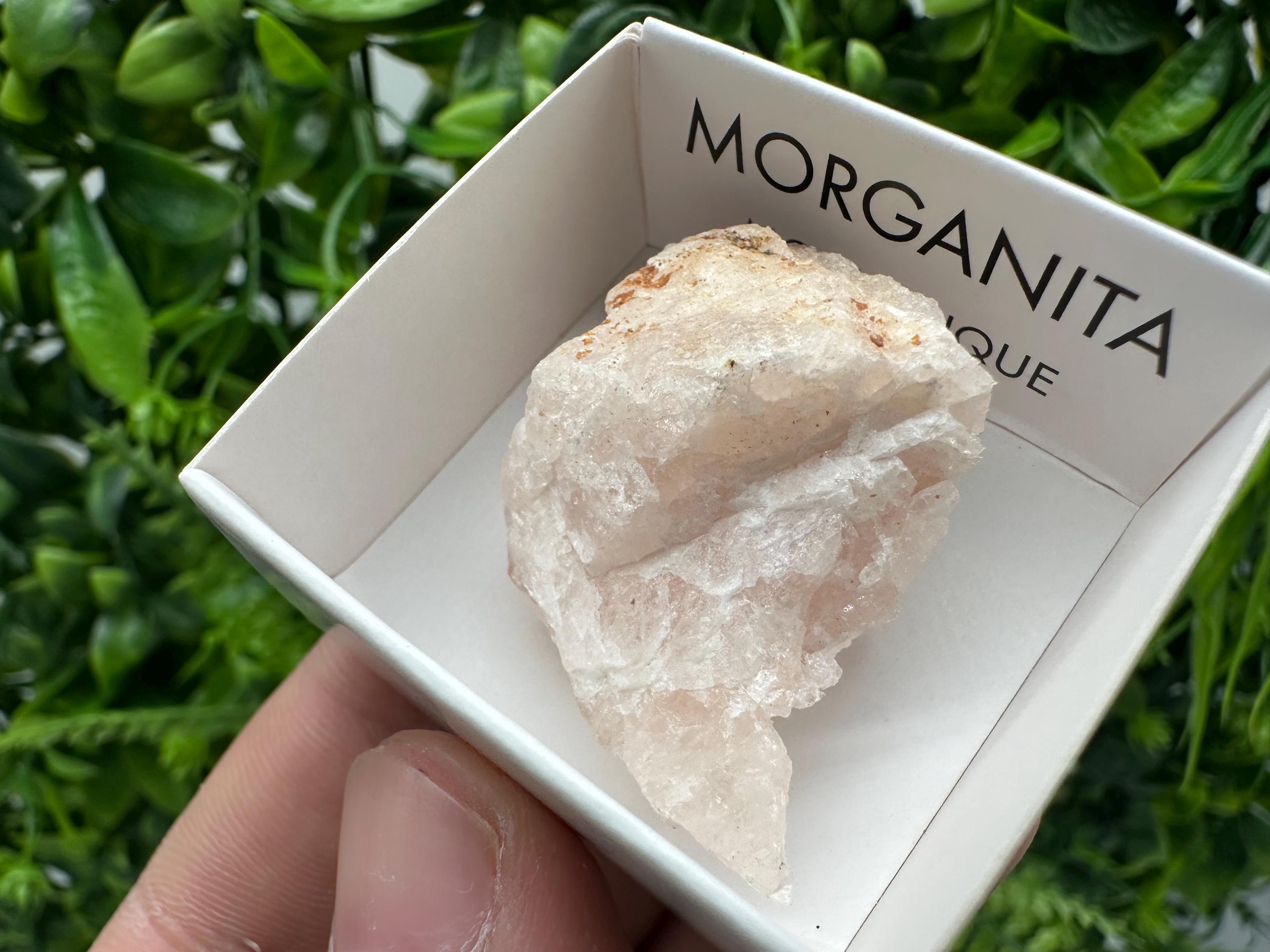 Rare Raw Morganite Specimen: Mozambique Crystal Collection (3/3.5cm)