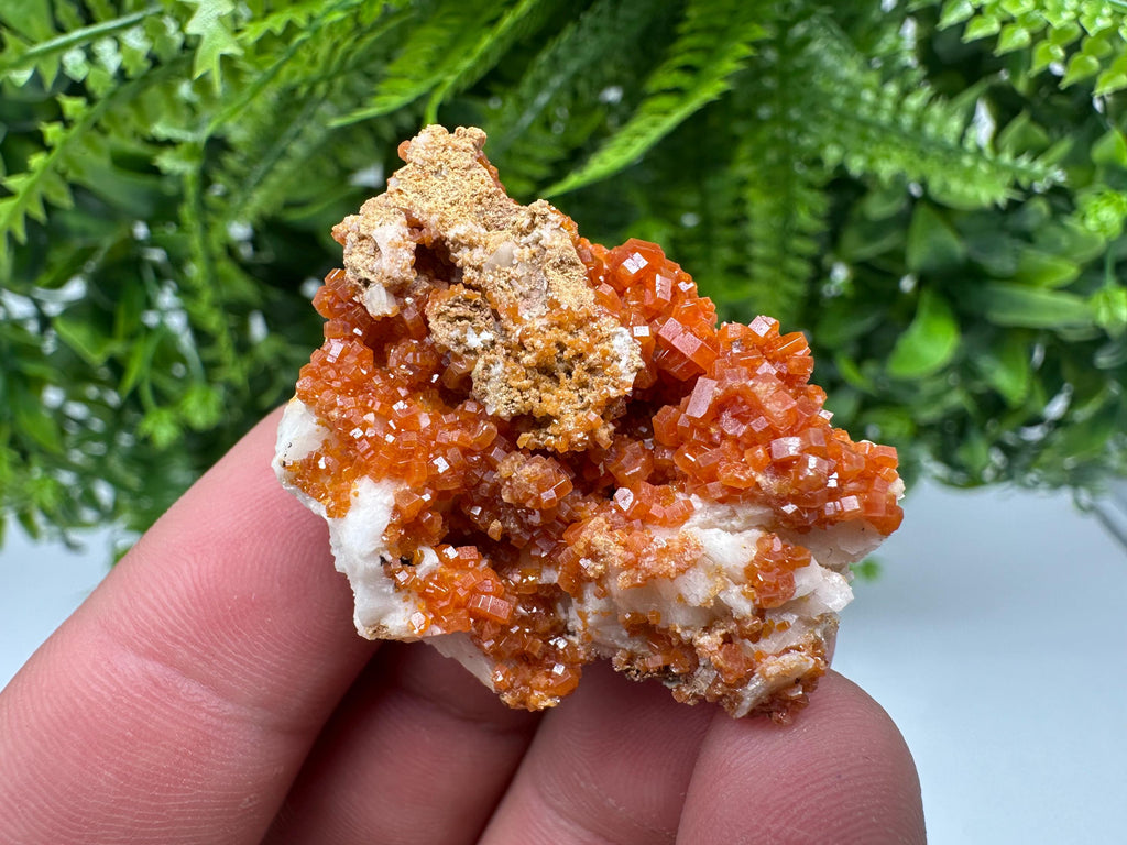 Red Vanadinite on Barite, Morocco Crystal Specimen