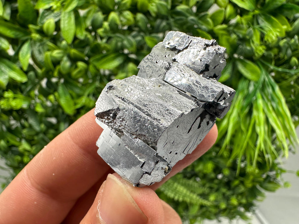 Shiny Galena Cluster: Borieva Mine, Bulgaria - Natural Mineral Stone