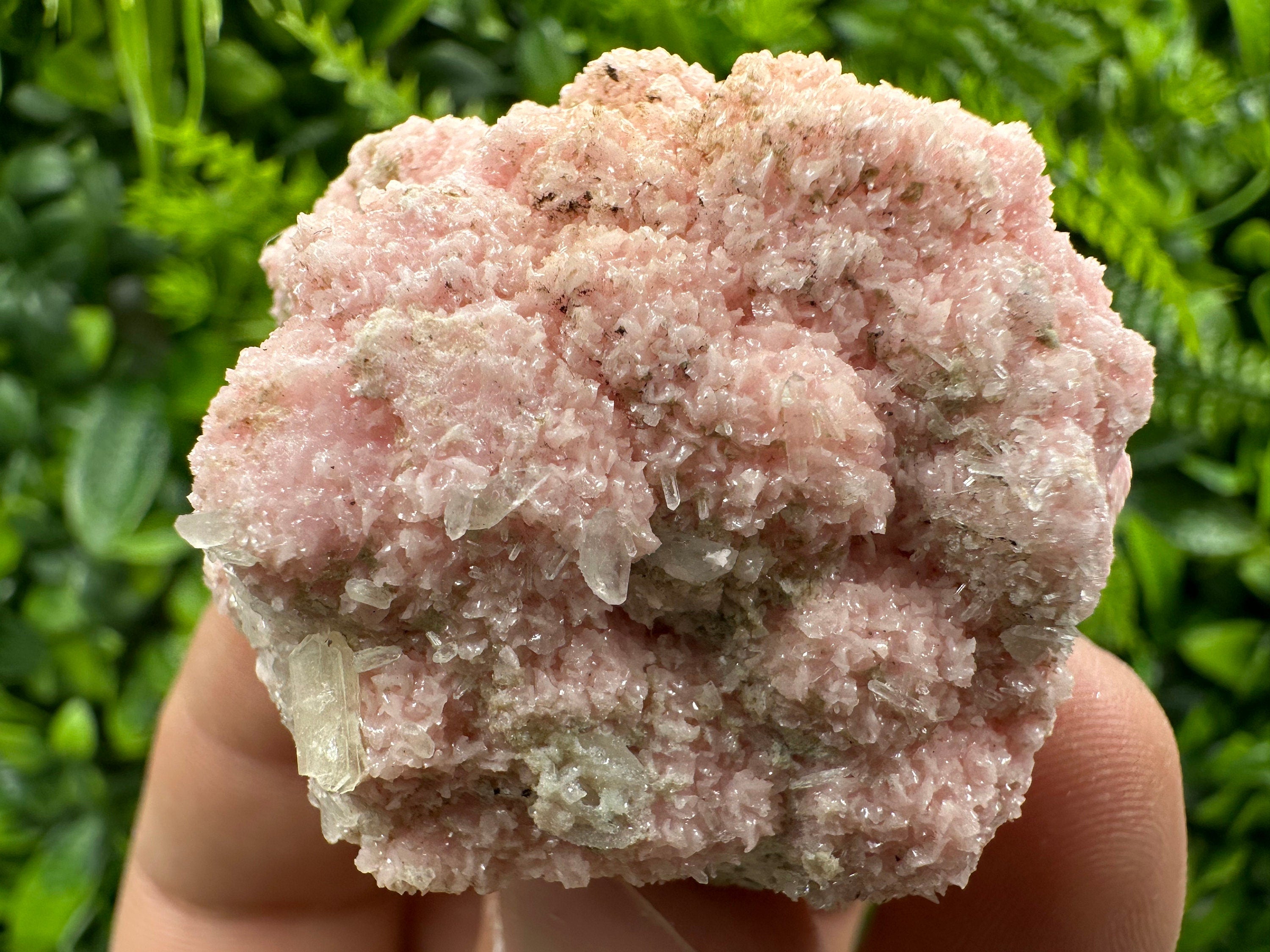 Pink Rhodochrosite Crystal: Starnica Mine, Bulgaria - Home Decor Stone