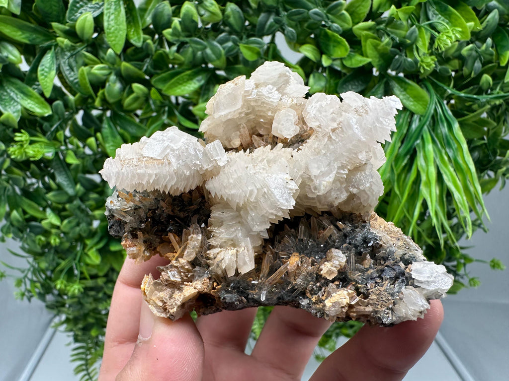 Quartz Crystal with Calcite and Chlorite - Borieva Mine, Bulgaria