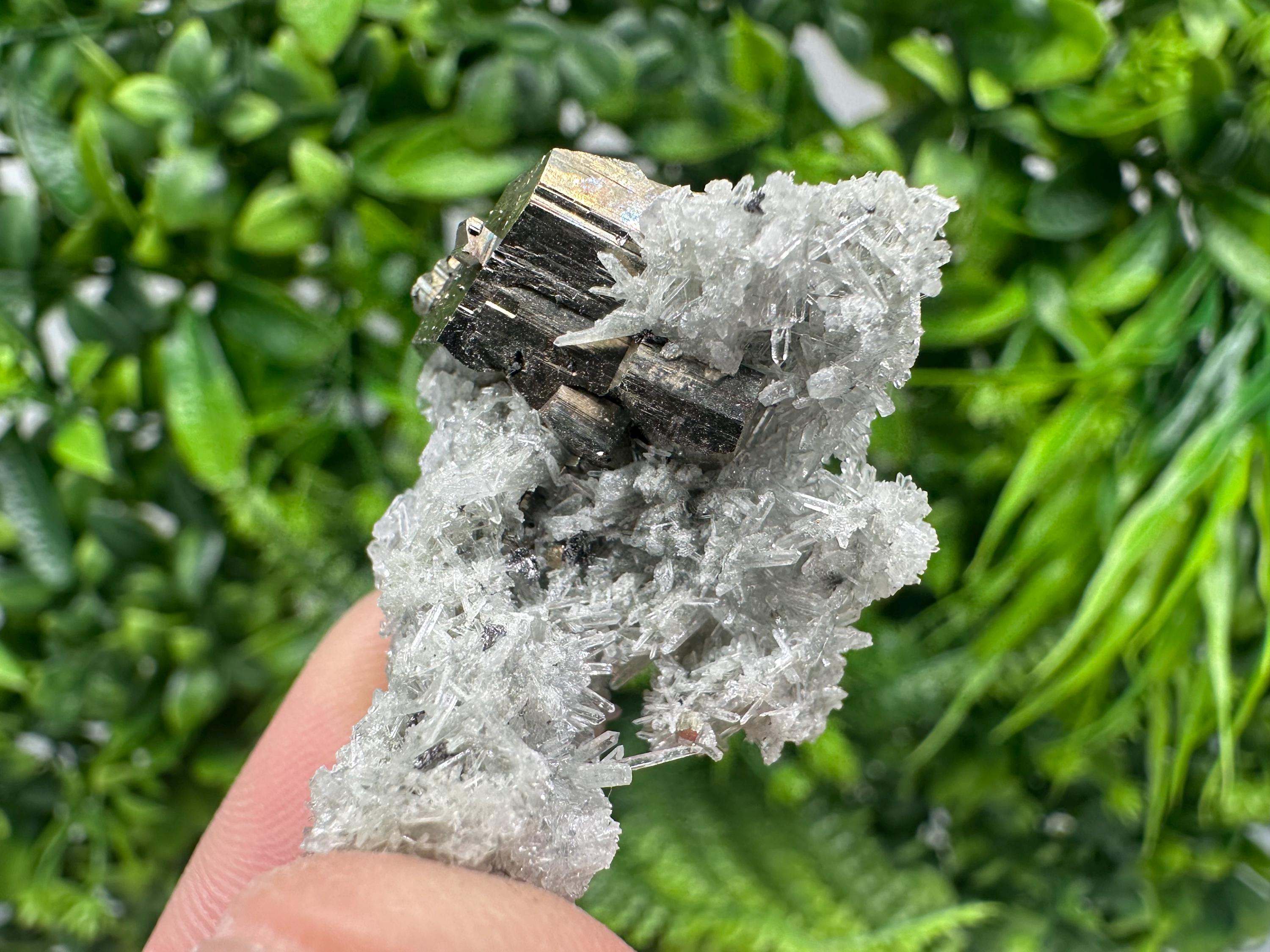 Pyrite on Green Quartz Mineral Specimen from Borieva Mine, Bulgaria