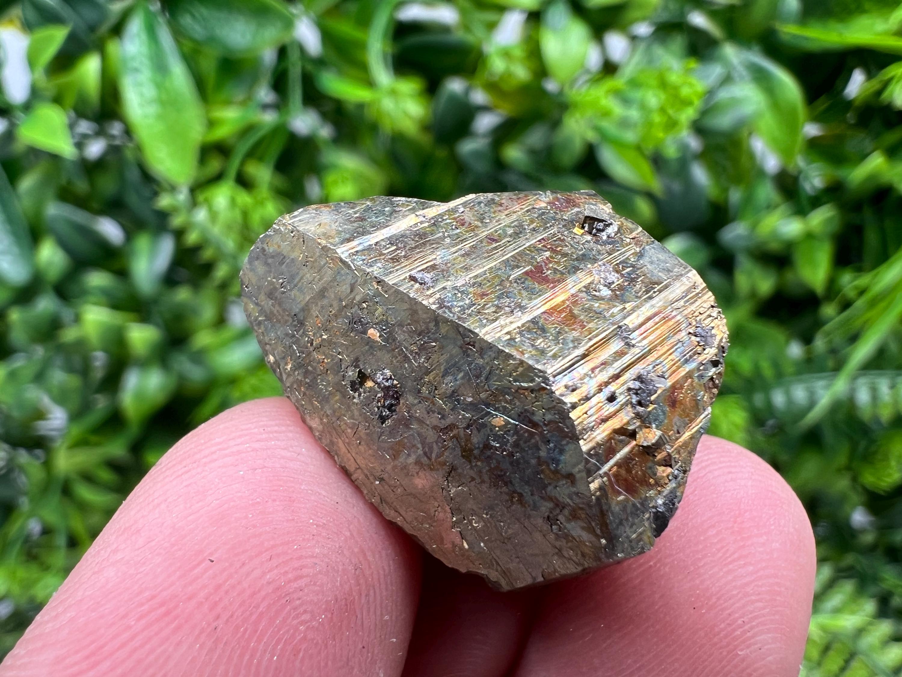 Rare Crystallized Pyrite Cluster, Borieva Mine Specimen