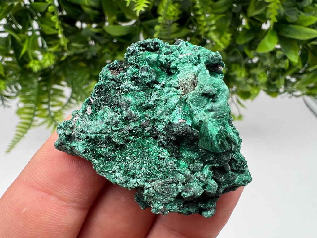 Malachite Crystal from Congo,Minerals,Crystals from Congo,Green Malachite, Malachite,Natural Malachite,Malachite Stone,Chakra, Specimens