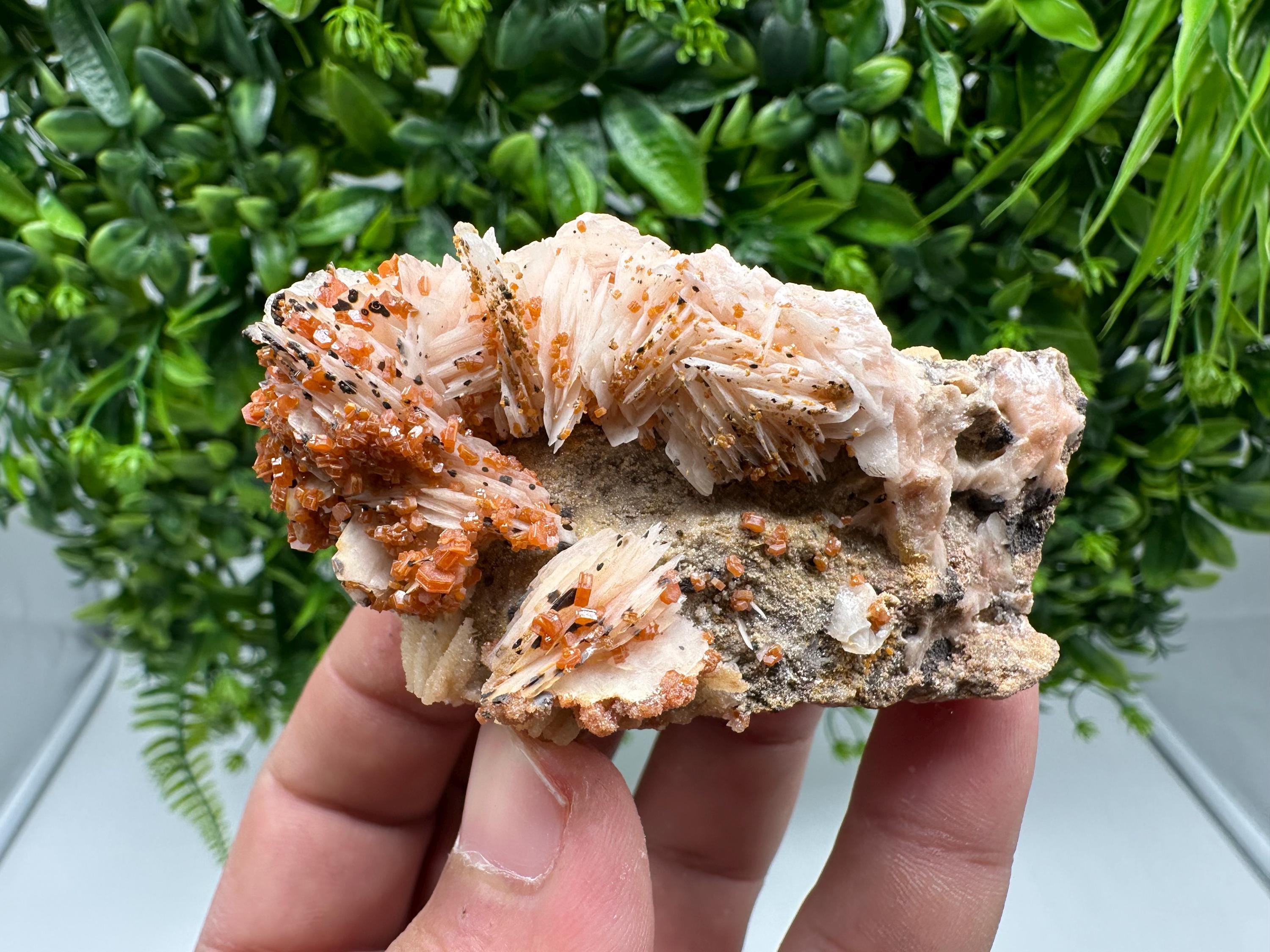Red Vanadinite on Barite from Marocco,crystal minerals Speciment cluster Vanadinite crystal Vanadinite Geology Vanadinite cluster minerals