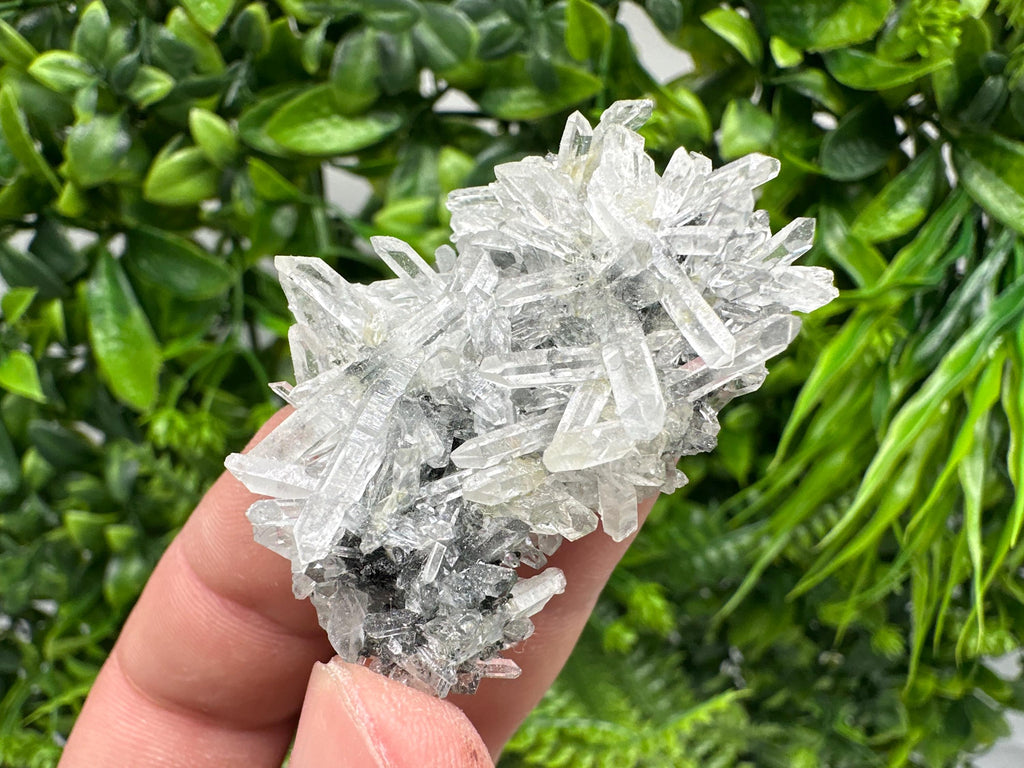 Quartz with Epidote Specimen: Borieva Mine, Bulgaria