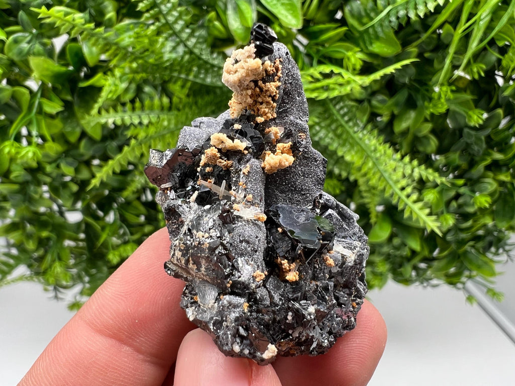 Skeletal Galena Mineral Specimen: Madan Bulgaria Collectible Stone