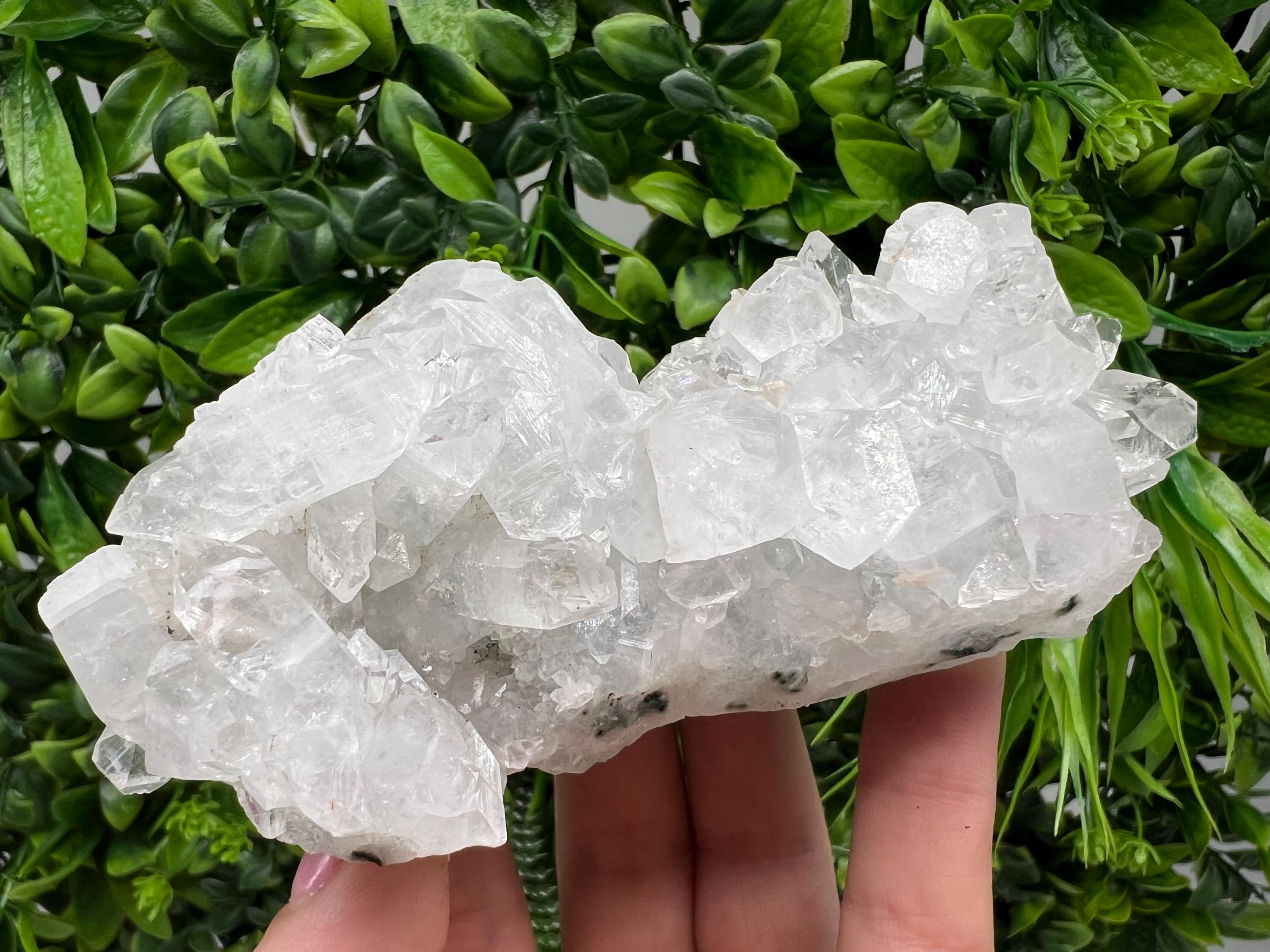 Apophyllite on Chalcedony Specimen: India Minerals Collection