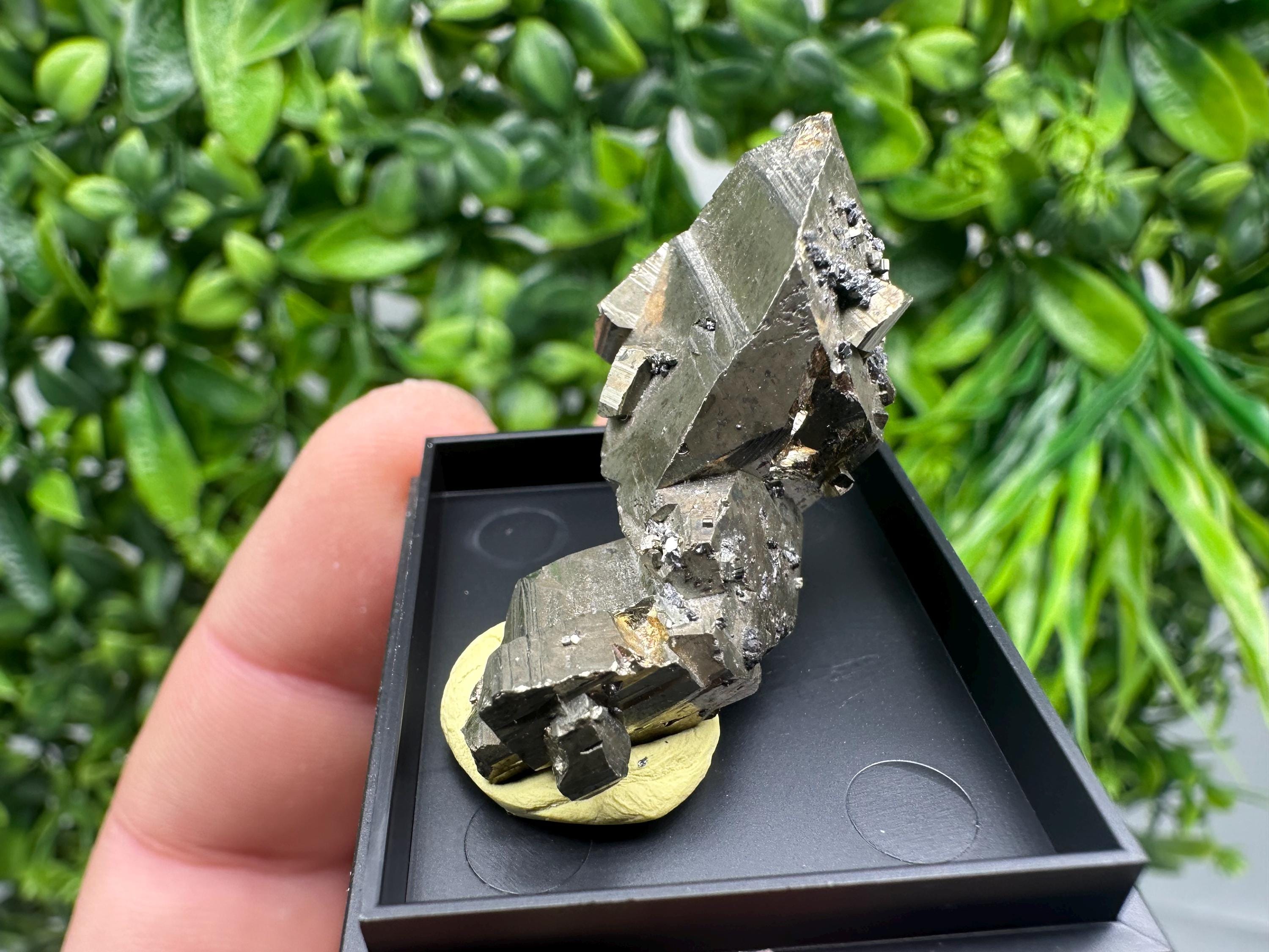 Rare Crystallized Pyrite Cluster - Borieva Mine, Bulgaria
