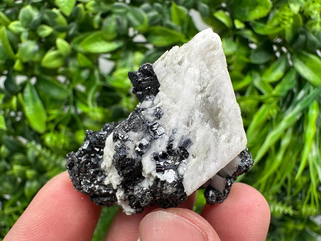 Galena Sphalerite Mineral Specimen, Madan Bulgaria