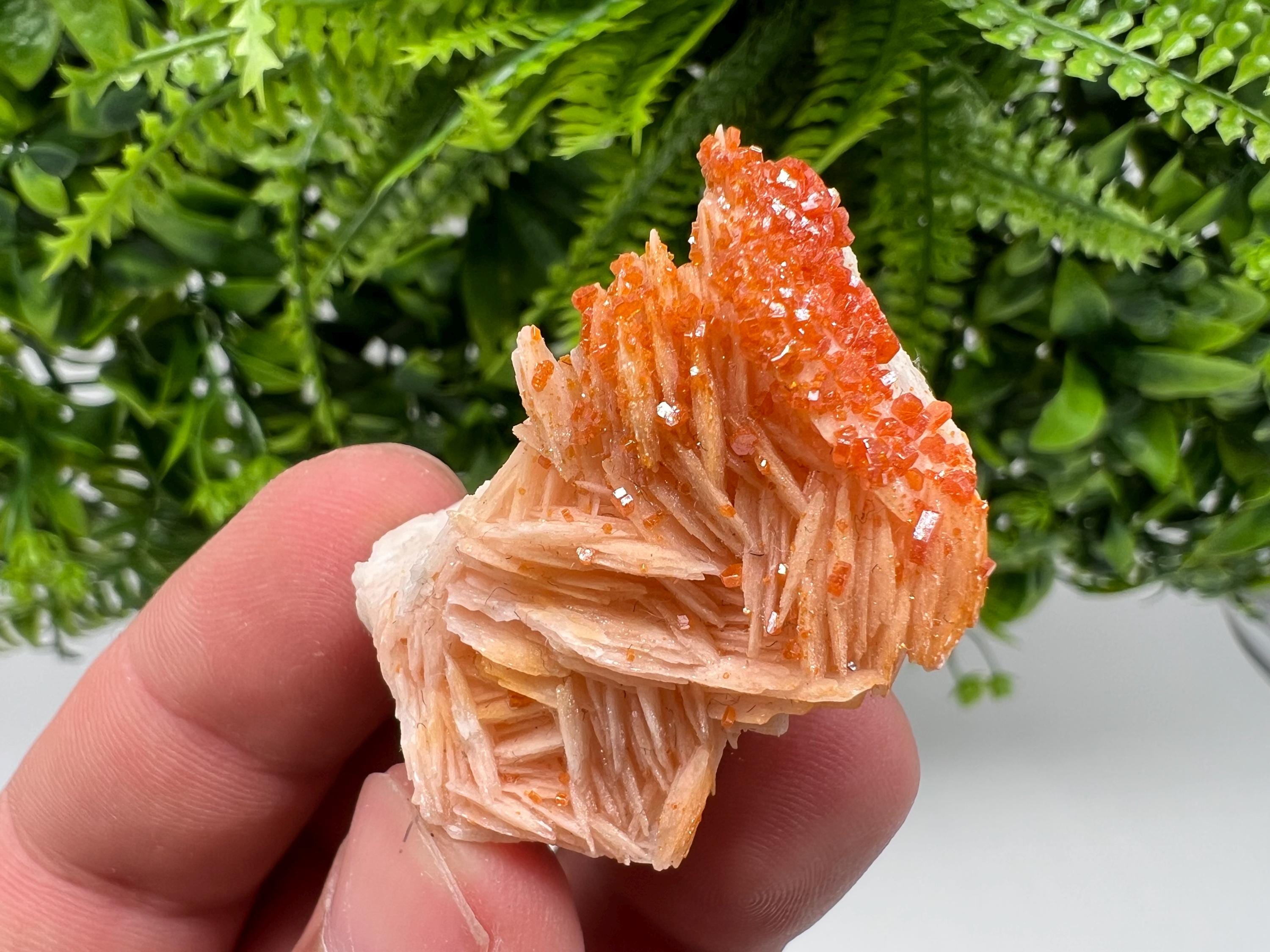 Red Vanadinite on Barite from Marocco,crystal minerals Speciment cluster Vanadinite crystal Vanadinite Geology Vanadinite cluster minerals