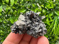 Wonderful Sphalerite Chalcopyrite on  Quartz whit Galena feom 9 th September mine,Bulgaria,natural,collection mineral specimen,gift