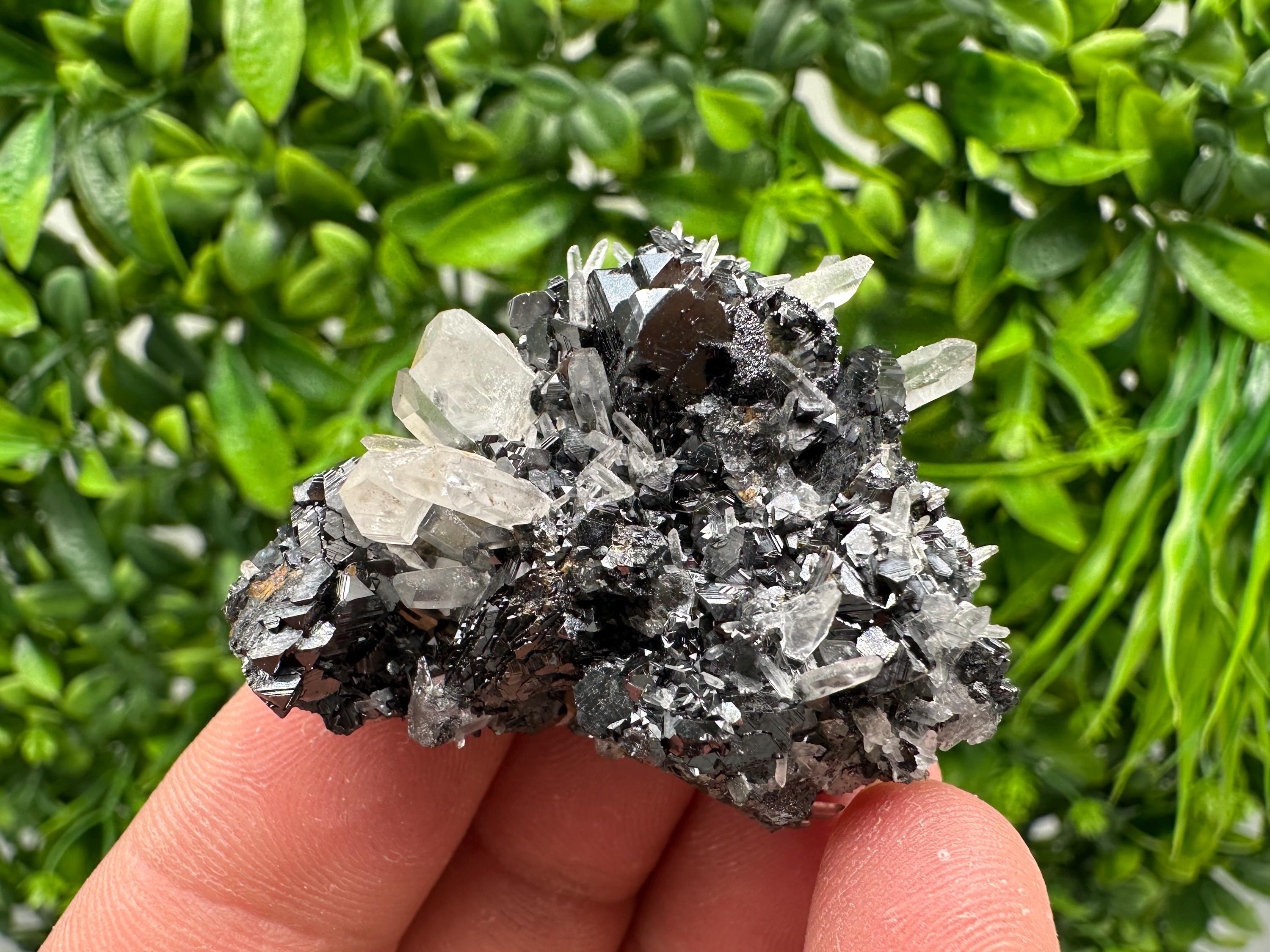 Wonderful Sphalerite Chalcopyrite on  Quartz whit Galena feom 9 th September mine,Bulgaria,natural,collection mineral specimen,gift