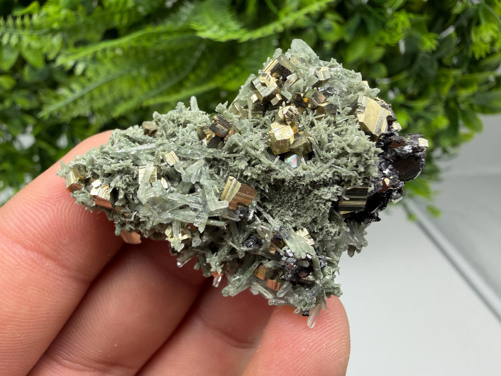 Pyrite on Green Quartz Mineral Specimen, Borieva Mine, Bulgaria