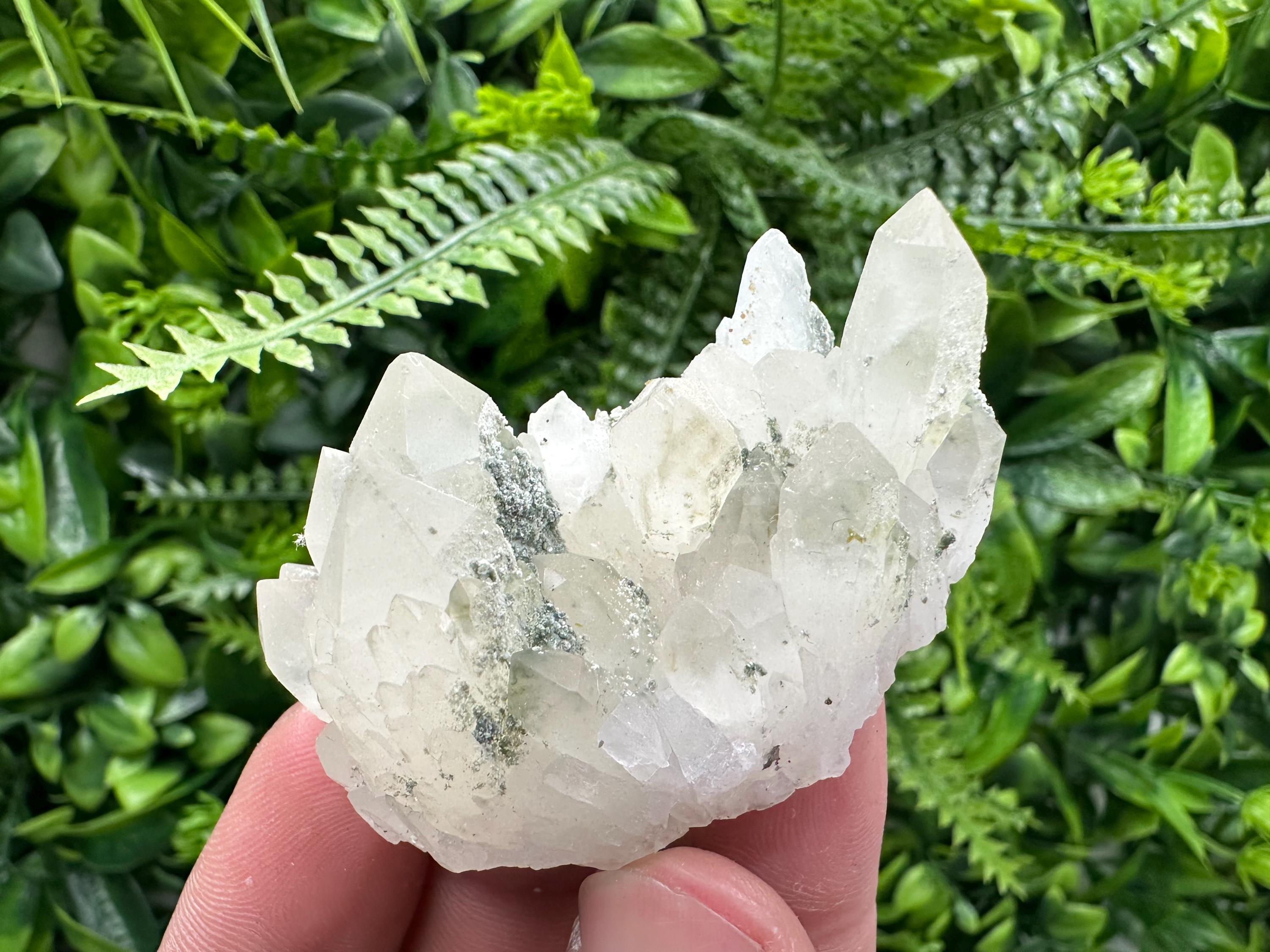 Limonite Quartz with Chlorite Inclusion: Djurcovo Laki Bulgaria Crystal