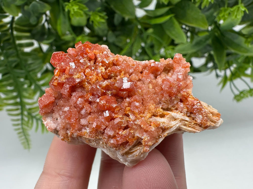 Red Vanadinite Crystal Cluster on Barite Matrix from Morocco, Mineral Specimen