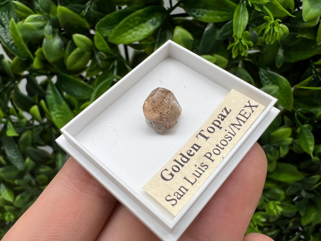 Beautiful Golden Topaz from Mexico,collection piece Crystal,Mineral,collectibles,Collectors, Natural Crystal, Minerals from Mexico,original,