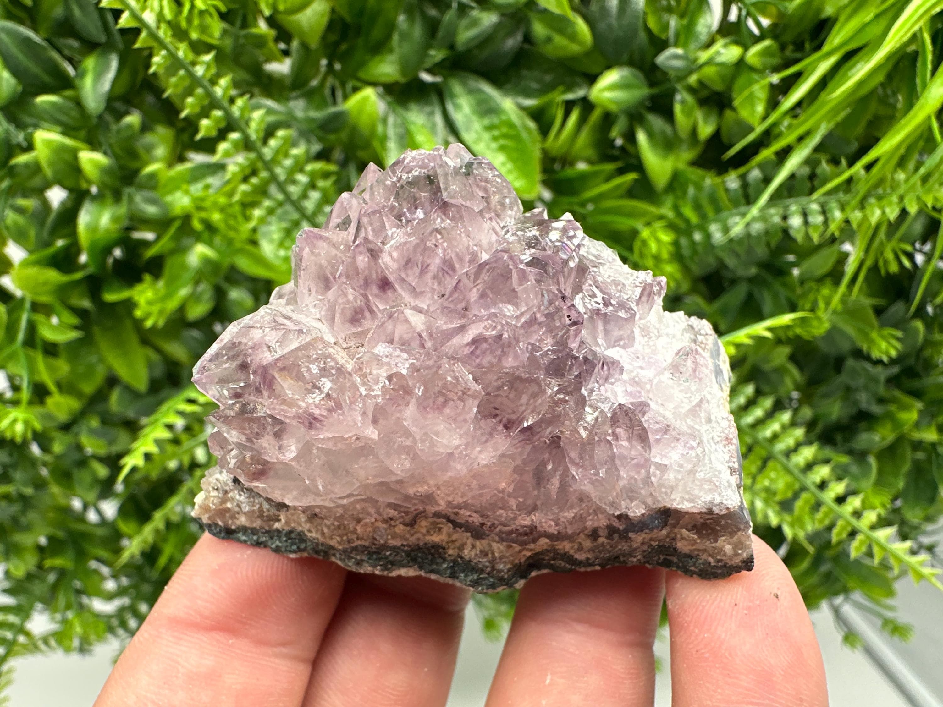 Brazilian Amethyst Crystal Cluster Specimen, Purple Quartz