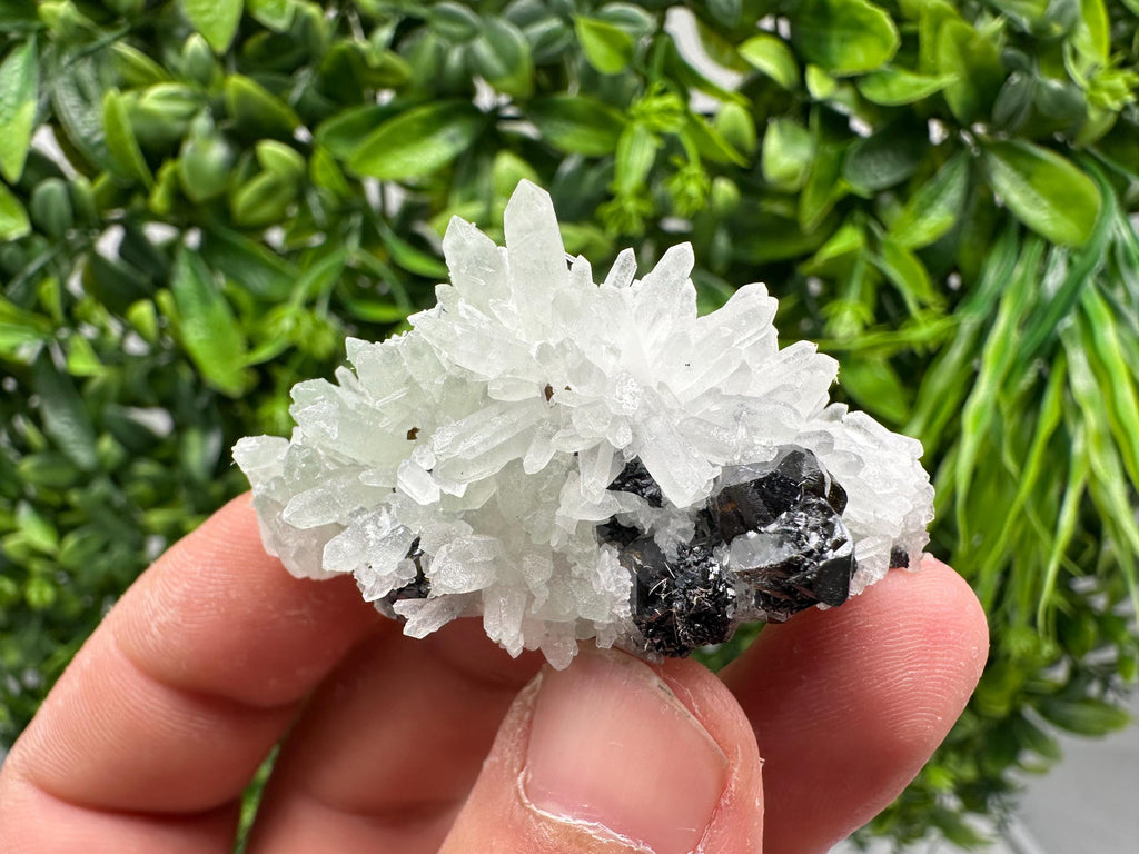 Sphalerite on Quartz, Bulgaria Mineral Specimen, Home Decor Crystal