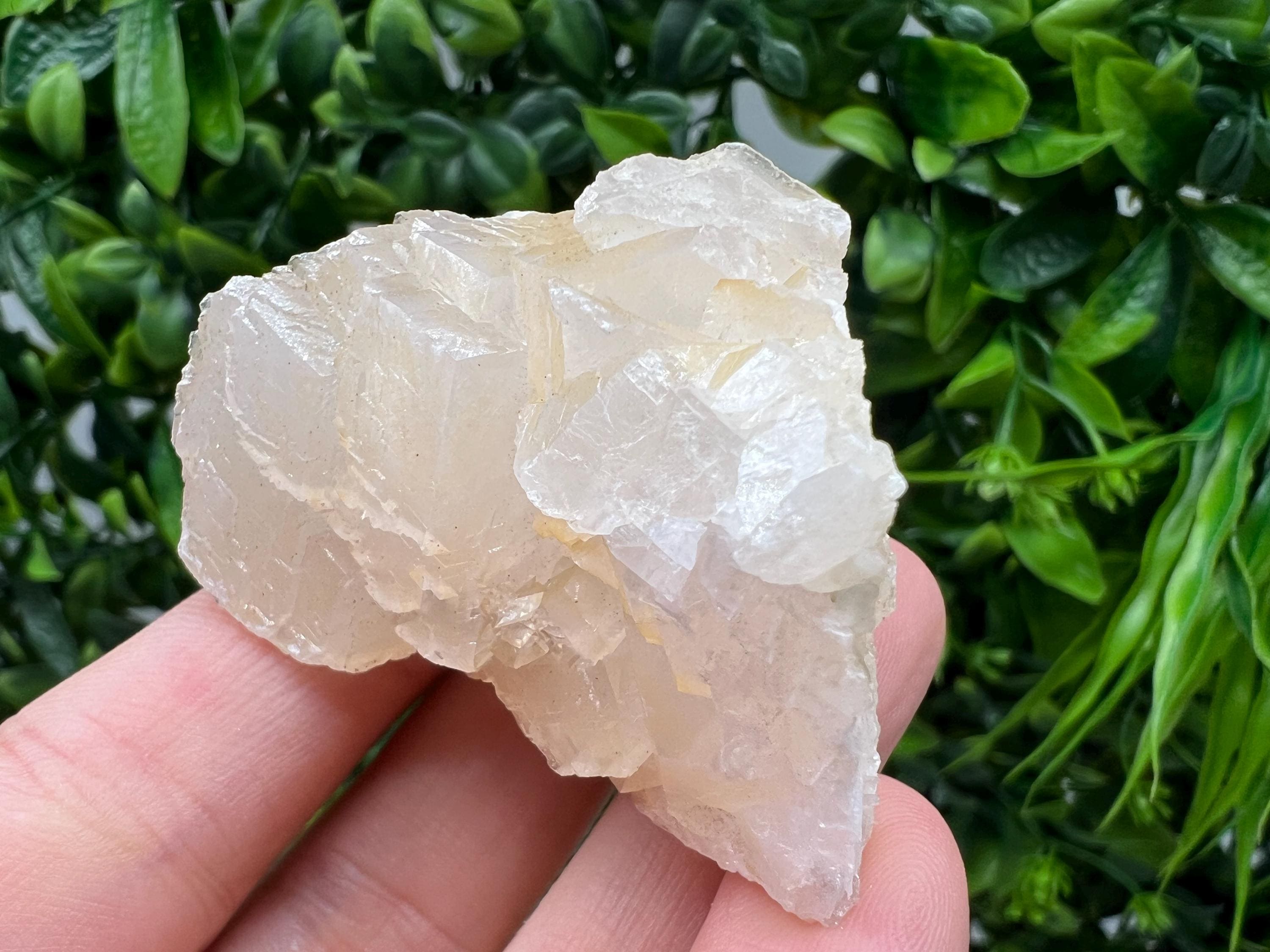 Quartz Crystal with Calcite and Chlorite: Borieva Mine, Bulgaria