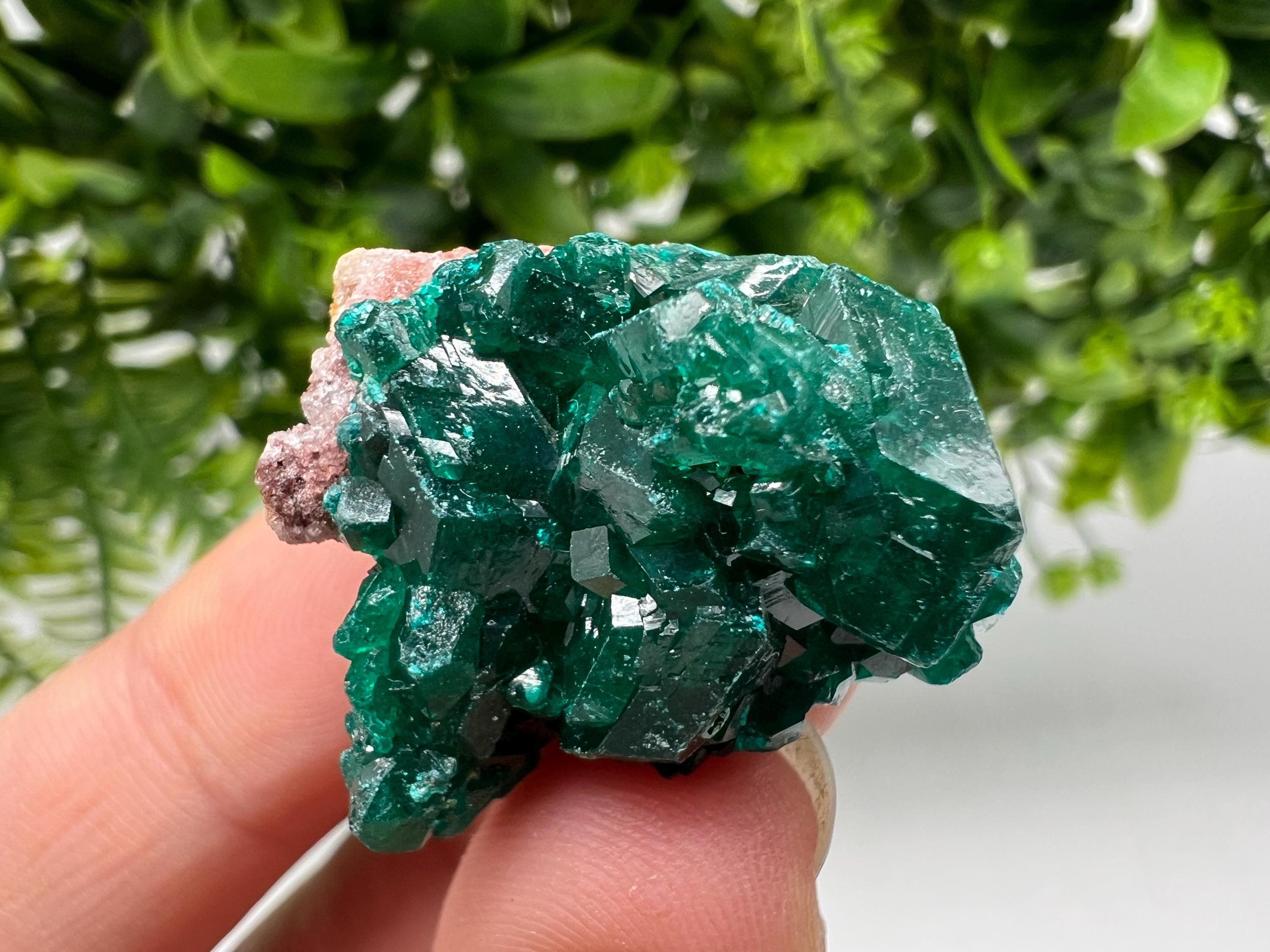 Green Dioptase Crystal, Mindouli Congo