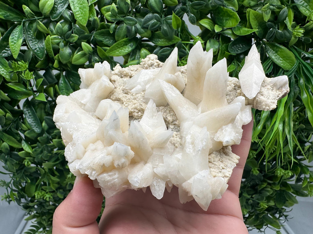 Calcite on Aragonite: Djurcovo Mine, Bulgaria Crystal