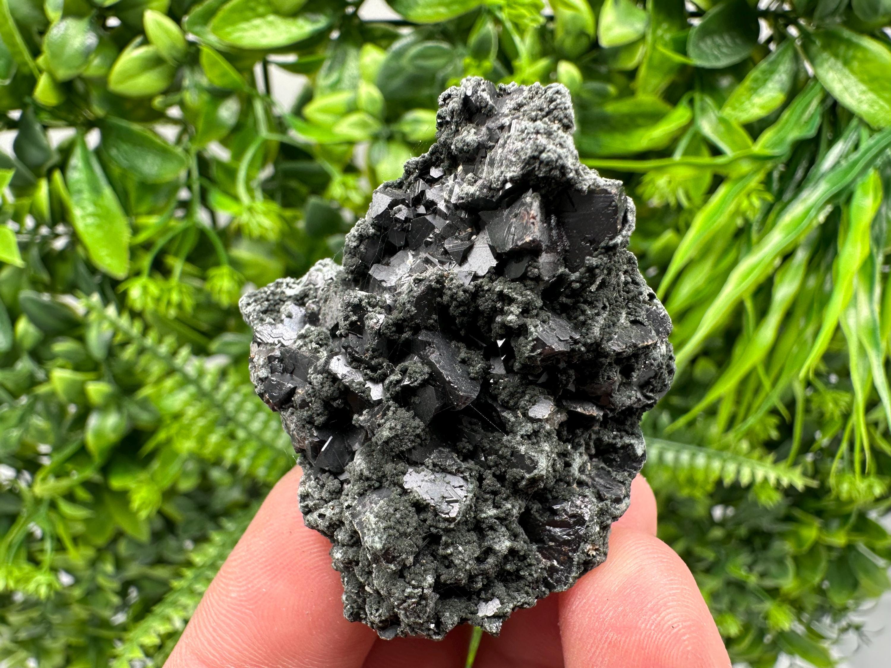 Sphalerite Galena with Chlorite Mineral Specimen, Bulgaria