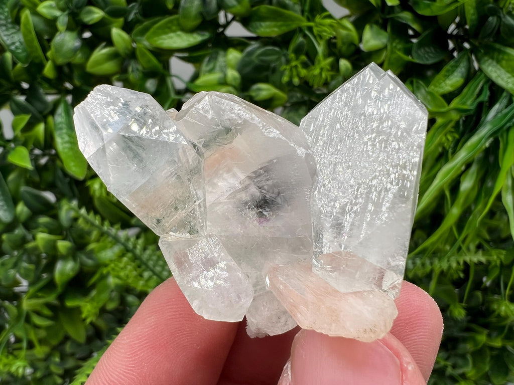 Transparent Apophyllite on Chalcedony, India Minerals Specimen