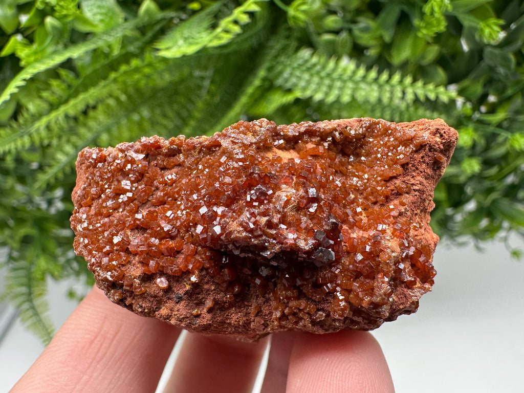 Red Vanadinite on Matrix from Marocco,crystal minerals Speciment cluster Vanadinite crystal Vanadinite Geology Vanadinite cluster minerals