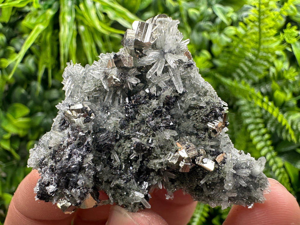 Pyrite Sphalerite Galena on Quartz: Bulgaria Borieva Mine Crystal Cluster